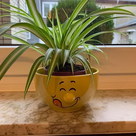 Ferienwohnung Roeder